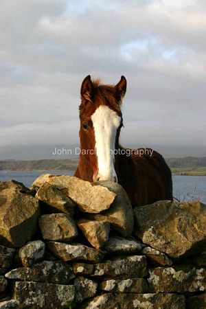 Click to see next picture