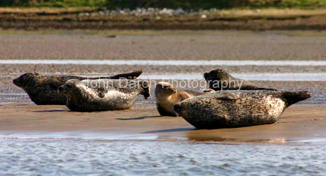 Click to see next picture