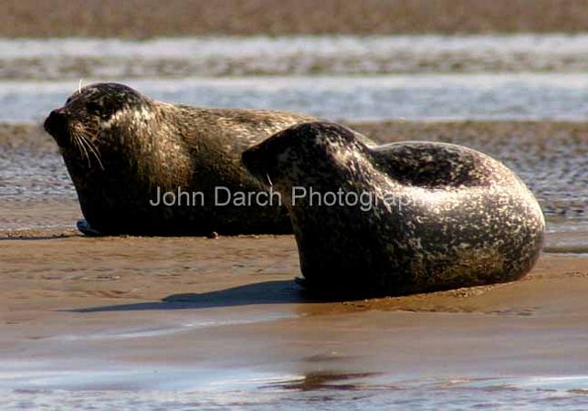 Click to see next picture