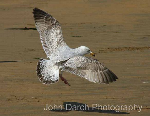 Click to see next picture