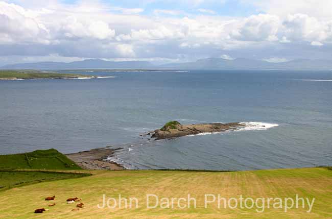 Click to see next picture